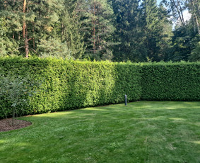 Vejos priežiūra, įrengimas - Gerbūvio ir arborizmo paslaugos - 4