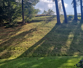 Vejos priežiūra, įrengimas - Gerbūvio ir arborizmo paslaugos - 3