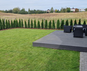 Vejos priežiūra, įrengimas - Gerbūvio ir arborizmo paslaugos - 2