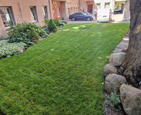 Vejos priežiūra, įrengimas - Gerbūvio ir arborizmo paslaugos - 1