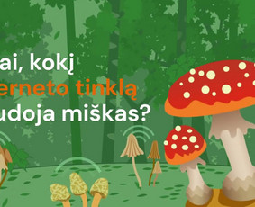 Animuotos video reklamos kūrimas, aiškinamieji vaizdo klipai - Renginiai, šventės - 3 Renginiai, šventės - Animuotos video reklamos kūrimas, aiškinamieji vaizdo klipai - 3