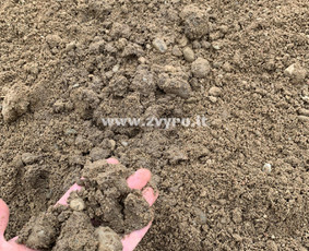 Žvyras smėlis skalda juodžemis Klaipėdos apskrityje / ARMO group MB / Darbų pavyzdys ID 3638741