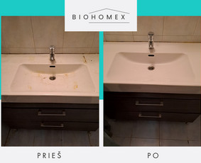 Ekologinis valymas / BioHomEx / Darbų pavyzdys ID 3638875