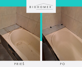 Ekologinis valymas / BioHomEx / Darbų pavyzdys ID 3638877