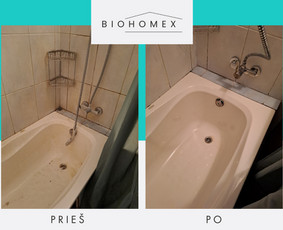 Ekologinis valymas / BioHomEx / Darbų pavyzdys ID 3638879