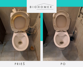 Ekologinis valymas / BioHomEx / Darbų pavyzdys ID 3638883