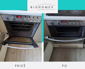 Ekologinis valymas / BioHomEx / Darbų pavyzdys ID 3638891