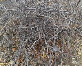 Senų baldų, šiukšlių išvežimas Panevėžyje - Smulkių siuntų pervežimas Lietuvoje - 2 Smulkių siuntų pervežimas Lietuvoje - Senų baldų, šiukšlių išvežimas Panevėžyje - 2