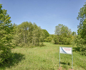 Nekilnojamojo turto brokeris / Saulius Kubilius / Darbų pavyzdys ID 3643169