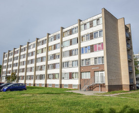 Nekilnojamojo turto brokeris / Saulius Kubilius / Darbų pavyzdys ID 3643173