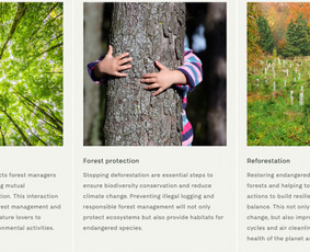Straipsniai, tekstai tinklapiams, Seo tekstai, redagavimas / Silvija Aksiutinaitė / Darbų pavyzdys ID 3643817