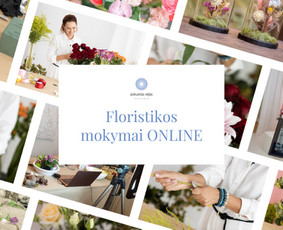 Ofiso apželdinimas kambariniais augalais ir edukacijos / Pūkuotas Vėjas MB / Darbų pavyzdys ID 3645137