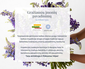 Ofiso apželdinimas kambariniais augalais ir edukacijos / Pūkuotas Vėjas MB / Darbų pavyzdys ID 3645139