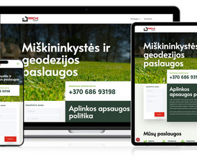 Profesionalių interneto svetainių kūrimo paslaugos / Amber Web / Darbų pavyzdys ID 3645843