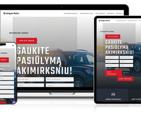 Interneto svetainių priežiūra - Profesionalių interneto svetainių kūrimo paslaugos - 1