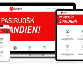 Profesionalių interneto svetainių kūrimo paslaugos / Amber Web / Darbų pavyzdys ID 3645851