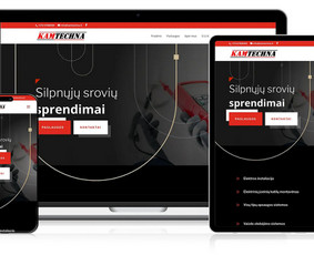 Profesionalių interneto svetainių kūrimo paslaugos / Amber Web / Darbų pavyzdys ID 3645867