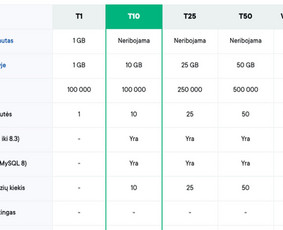 Profesionalių interneto svetainių kūrimo paslaugos - Svetainių talpinimas (Hosting) - 1 Svetainių talpinimas (Hosting) - Profesionalių interneto svetainių kūrimo paslaugos - 1