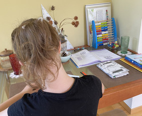 Pradinio ir priešmokyklinio ugdymo pedagogė / Loreta Ponelienė / Darbų pavyzdys ID 3645979