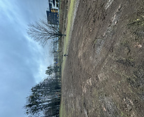 Visi žemės kasimo darbai  Sniego valymas / BRODI / Darbų pavyzdys ID 3646537