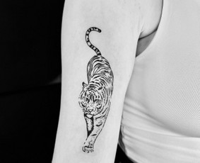 Tatuiruočių studija / Emilija Galeckaitė / Darbų pavyzdys ID 3648161