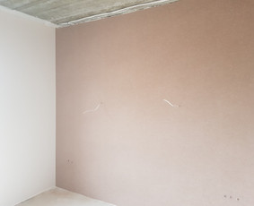Glaistymo, dažymo, apdailos darbai / Glaistymo dažymo darbai / Darbų pavyzdys ID 736263