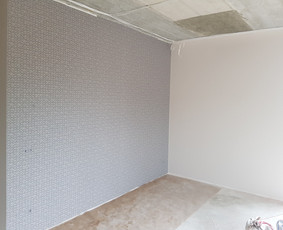 Glaistymo, dažymo, apdailos darbai / Glaistymo dažymo darbai / Darbų pavyzdys ID 736277