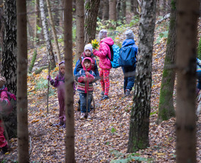 Žygiai vaikams, paaugliams, šeimoms su žaidimais miškuose / Robertas Janovskis / Darbų pavyzdys ID 3649307