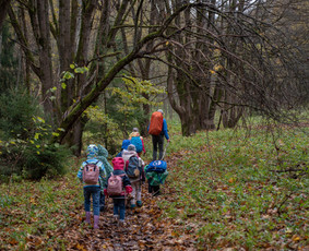 Žygiai vaikams, paaugliams, šeimoms su žaidimais miškuose / Robertas Janovskis / Darbų pavyzdys ID 3649321
