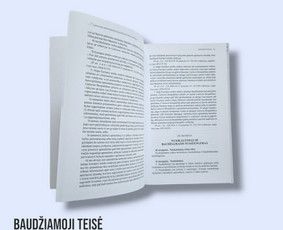 Profesionalios Teisinės Paslaugos / Advokato padėjėjas Povilas Rėklaitis / Darbų pavyzdys ID 3649397