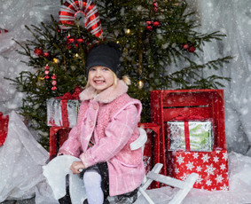 Fotografas - Kalėdinė fotosesija - 4 Kalėdinė fotosesija - Fotografas - 4
