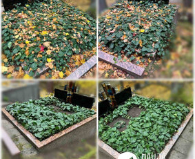 Kapų Tvarkymas, Paminklai, Dengimas Plokštėmis, Priežiūra / NaujaKapavietė.lt / Darbų pavyzdys ID 3649669