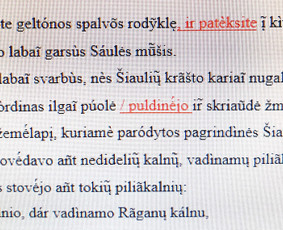 Klaidų taisymas - Profesionalus tekstų redagavimas - 1