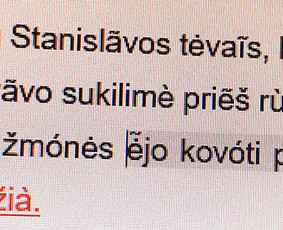 Profesionalus tekstų redagavimas - Interneto svetainių teksto redagavimas - 4 Interneto svetainių teksto redagavimas - Profesionalus tekstų redagavimas - 4