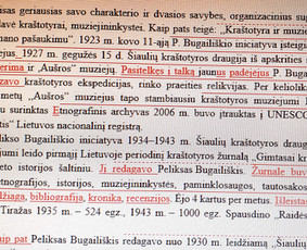 Profesionalus tekstų redagavimas - Interneto svetainių teksto redagavimas - 3 Interneto svetainių teksto redagavimas - Profesionalus tekstų redagavimas - 3