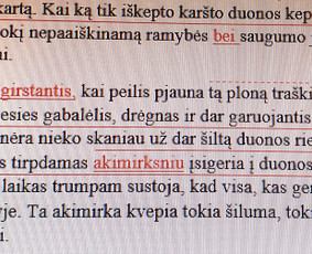 Profesionalus tekstų redagavimas - Interneto svetainių teksto redagavimas - 1 Interneto svetainių teksto redagavimas - Profesionalus tekstų redagavimas - 1