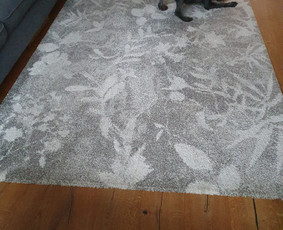 Karcher P10/1, P8/1 plaunančio siurblio nuoma - Plaunamo siurblio nuoma - 1 Plaunamo siurblio nuoma - Karcher P10/1, P8/1 plaunančio siurblio nuoma - 1