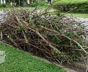 Šiukšlių isvezimas statybines siukles - Šakų išvežimas - 2 Šakų išvežimas - Šiukšlių isvezimas statybines siukles - 2