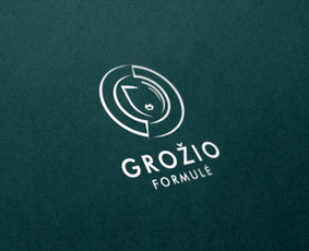 Ux/ui / Logotipų / Spaudos gaminių dizaino sprendimai / Spaudos gaminių dizaino sprendimai / Darbų pavyzdys ID 3651371