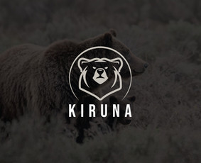Ux/ui / Logotipų / Spaudos gaminių dizaino sprendimai / Spaudos gaminių dizaino sprendimai / Darbų pavyzdys ID 3651375