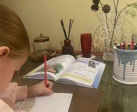 Pradinio ir priešmokyklinio ugdymo pedagogė / Loreta Ponelienė / Darbų pavyzdys ID 3651653