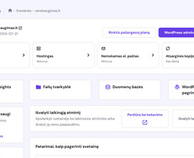 Svetainių talpinimas (Hosting) - Profesionalios svetainės Jūsų verslui – greitai ir patikimai - 1