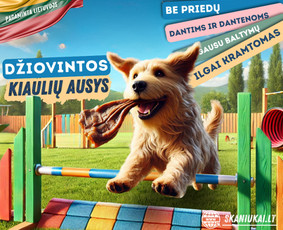Soc. tinklų administravimas - Facebook, Instagram, Linkedin / Pagalvosiu.lt / Darbų pavyzdys ID 3651875