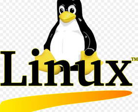 Web programavimas, verslo sistemų kūrimas, ekomercija / Tomas L. / Darbų pavyzdys ID 3652119