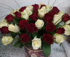 Pristatymo kaina nuo 10 eur.