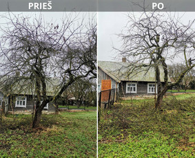 Profesionalus vaismedžių genėjimas, konsultavimas - Vaismedžių genėjimas - 1 Vaismedžių genėjimas - Profesionalus vaismedžių genėjimas, konsultavimas - 1