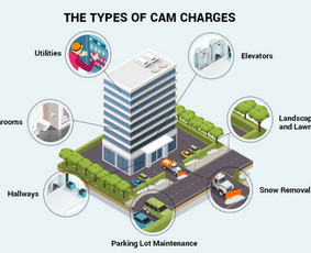 Kitos kategorijos - Komercinio nekilnojamo turto konsultacijos Klaipėdoje - 3