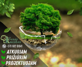 Soc. tinklų administravimas - Facebook, Instagram, Linkedin / Pagalvosiu.lt / Darbų pavyzdys ID 3655537