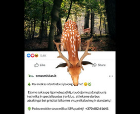 Soc. tinklų administravimas - Facebook, Instagram, Linkedin / Pagalvosiu.lt / Darbų pavyzdys ID 3655557