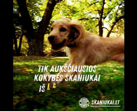 Soc. tinklų administravimas - Facebook, Instagram, Linkedin / Pagalvosiu.lt / Darbų pavyzdys ID 3655583